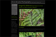 Dragonfly Images