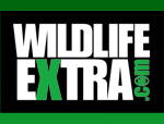 Wildlife Extra